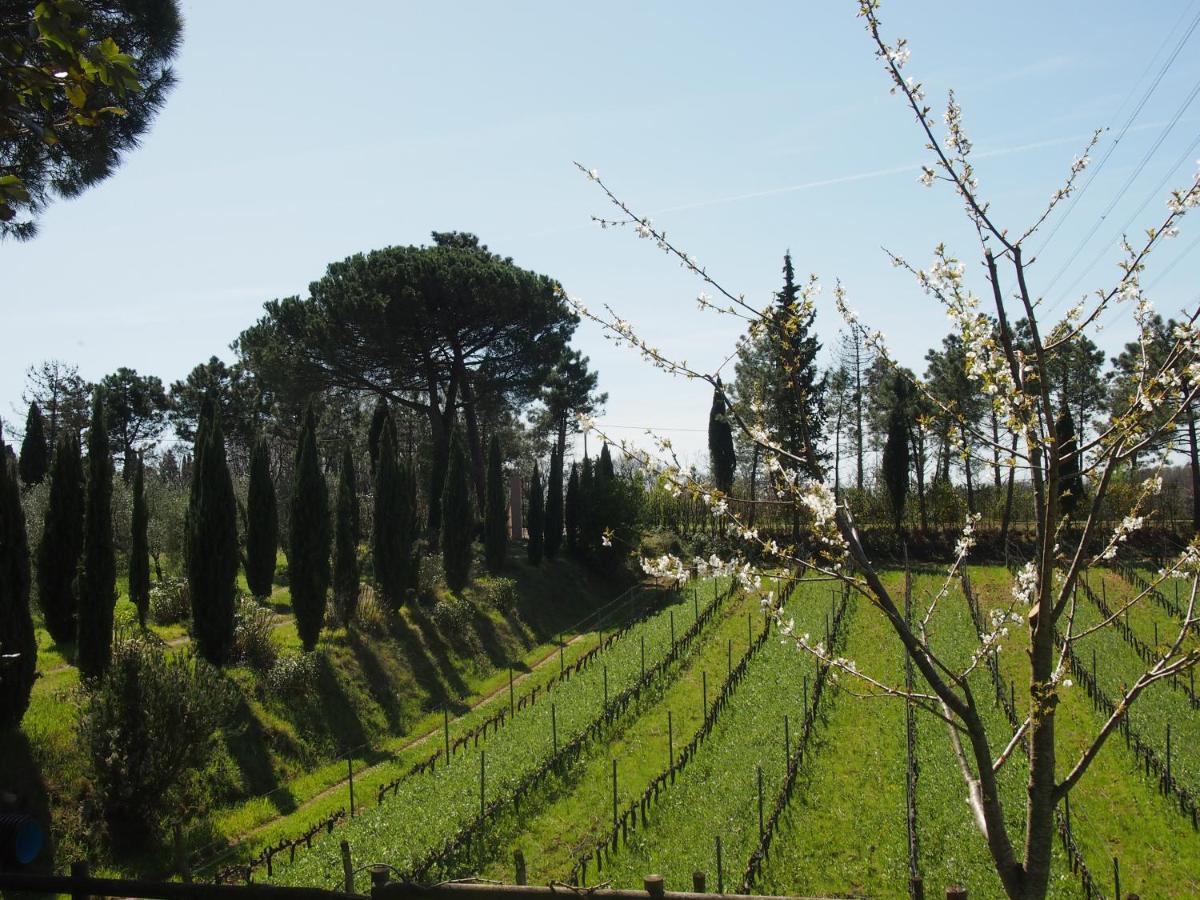 Agriturismo Gli Archi Fauglia Eksteriør billede