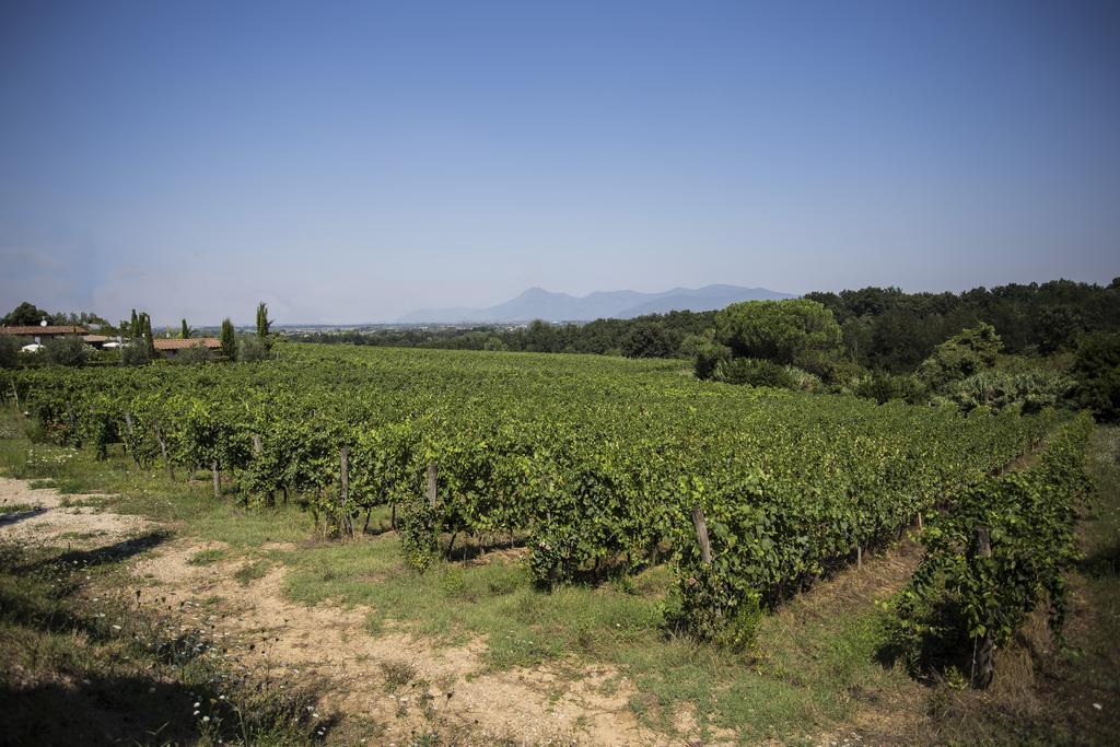 Agriturismo Gli Archi Fauglia Eksteriør billede