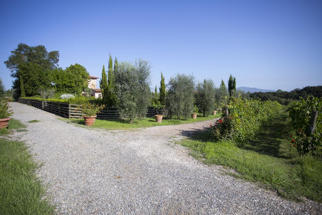 Agriturismo Gli Archi Fauglia Eksteriør billede