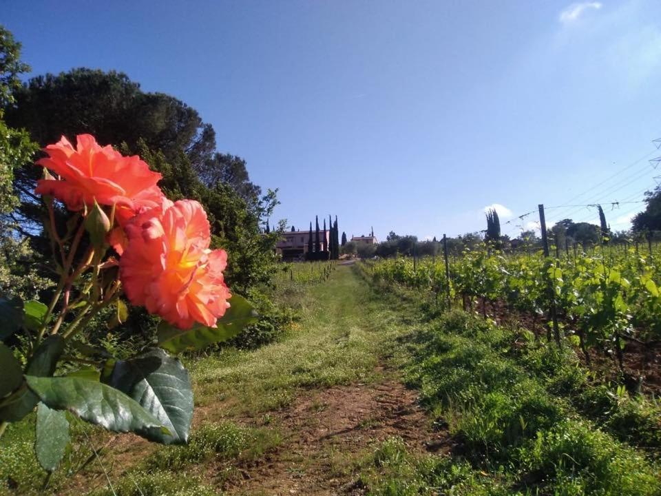 Agriturismo Gli Archi Fauglia Eksteriør billede