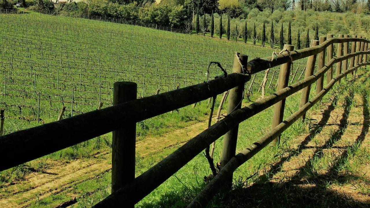 Agriturismo Gli Archi Fauglia Eksteriør billede